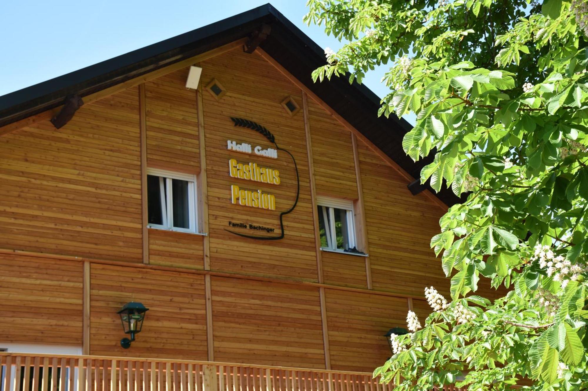 Gasthaus Und Pension Halli-Galli باساو المظهر الخارجي الصورة